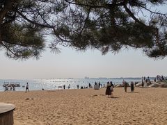 -老虎石海上公园