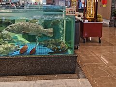 -聚福宝合苑食府(南头镇店)