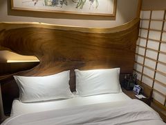 -成都蓝城悦杏温泉美食酒店(宽窄巷子店)