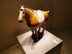 -宁夏博物馆