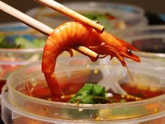 -金龙·打边炉(南京西路店)