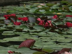 -国家植物园南园