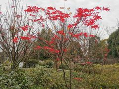 -国际非物质文化遗产博览园