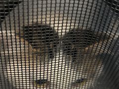 -瑞派康怡24h宠物医院·犬猫医疗中心·微创绝育(瑞景分院)