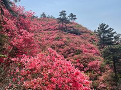 -木兰云雾山