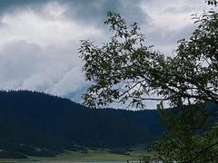 -普达措国家公园