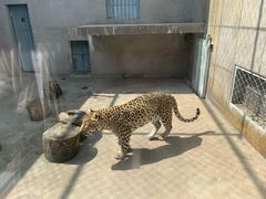 -西安秦岭野生动物园