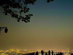 -紫金山山顶公园