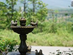 -黄色小屋