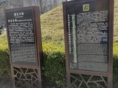 -元大都城垣遗址公园