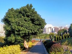 -立新湖公园