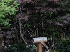 景观位-庆春朴门