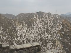 -龙泉峪长城