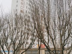-朝阳区恒春绿景老年公寓