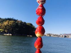 -大理洱源西湖景区