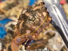 花盖蟹-乔哥铭洋海鲜自助(皇城恒隆广场店)