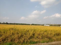 -嘉北郊野公园