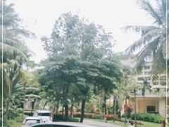 -三亚亚龙湾天域度假酒店