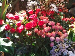 -春暖花开(西溪店)