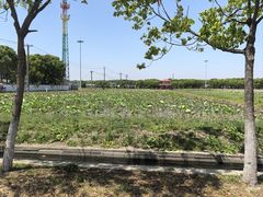 -嘉北郊野公园