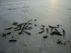 -嵊泗基湖沙滩
