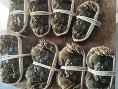 -阳澄湖大闸蟹·琼灵阁牌品牌连锁(吴中总店)