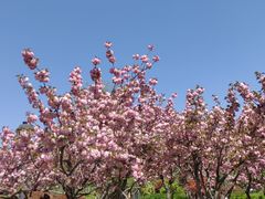 -马濠公园