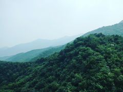 -北京鹫峰国家森林公园