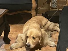 -火车头法国西餐厅