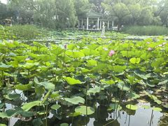 -北陵公园
