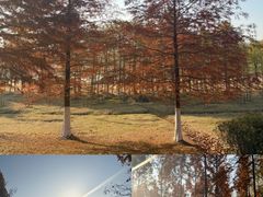 -滨湖塘西河公园