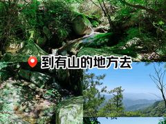 -王顺山国家森林公园