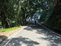 -白云山风景名胜区