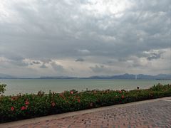 -深圳湾公园(南山区)
