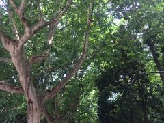 -浙江省杭州高级中学(贡院校区)