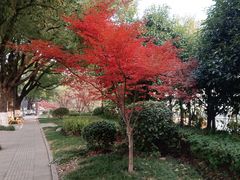 -浙江大学(舟山校区)