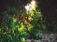 -贵阳市花溪国家城市湿地公园