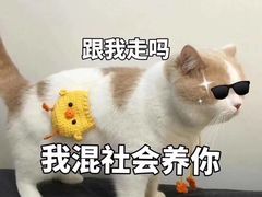 -詹记宫廷桃酥王(芜湖万达店)