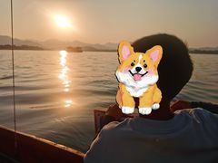 -西湖游船