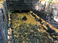 -热田神宫