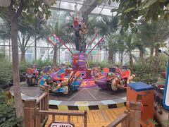 -南宫五洲植物乐园