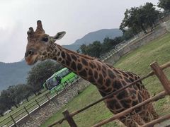 -西安秦岭野生动物园