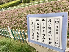 -范蠡湖公园