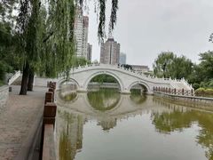 -迎泽公园