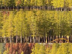 -白鹭湾湿地公园