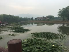 -长兴太湖图影湿地文化园
