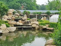-东湖生态旅游风景区