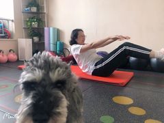 -炼健身私教工作室