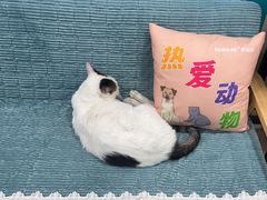 -佳雯宠物医院·皮肤科·内外科(春晓路分院)