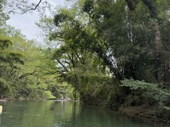 -九曲溪竹筏码头